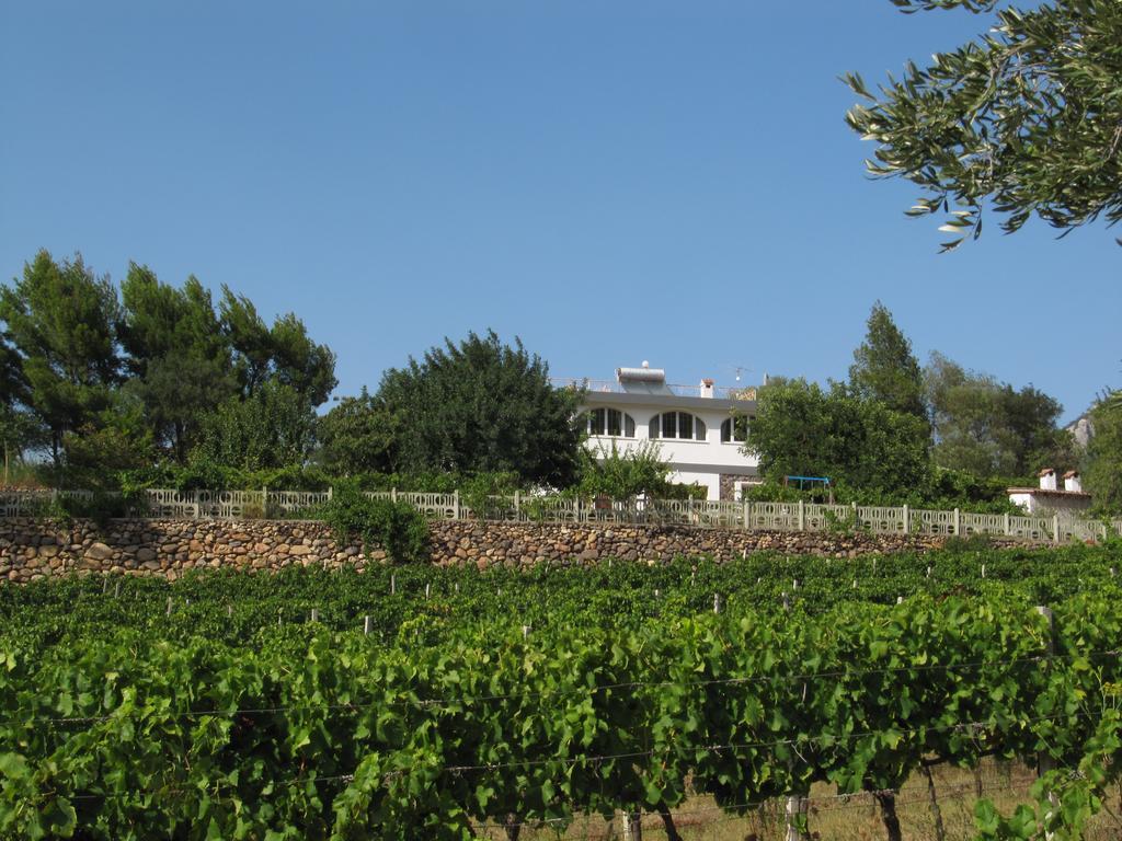 Villa Maria Доргали Екстериор снимка